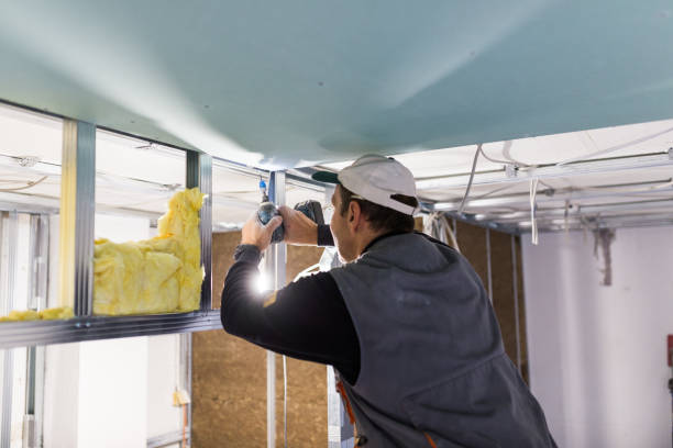 Best Residential Insulation Services  in Five Forks, SC