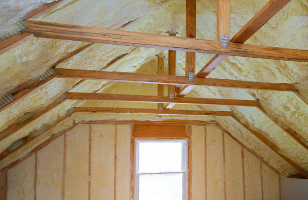 Best Home Insulation Services  in Five Forks, SC
