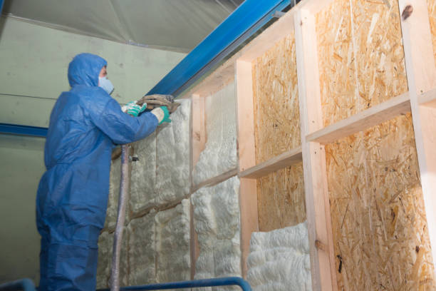 Best Spray Foam Insulation  in Five Forks, SC