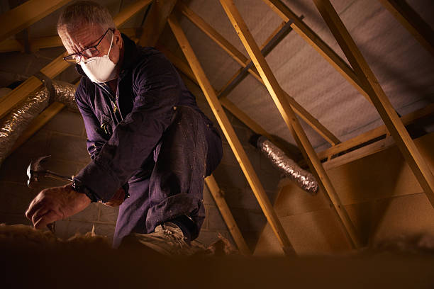 Best Insulation Contractor Near Me  in Five Forks, SC